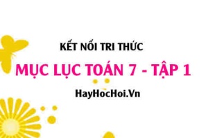 Mục lục SGK Toán 7 tập 1 Kết nối tri thức - Lý thuyết và bài tập Toán 7 tập 1 Kết nối tri thức